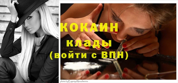 молекула духа Бородино