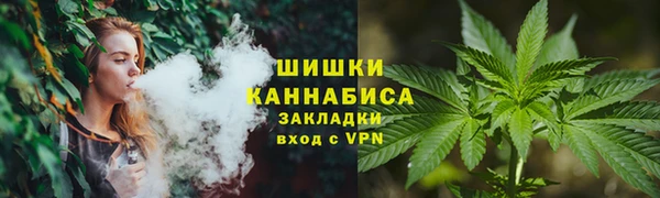молекула духа Бородино
