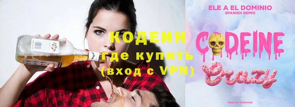 молекула духа Бородино