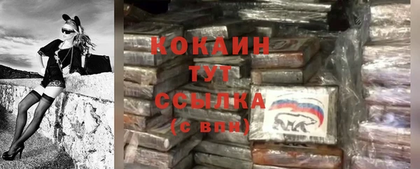 дживик Верея