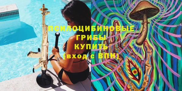 гидропоника Бугульма